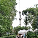 ���� Farida, ������, 36 ��� - ��������� 2 ���� 2026 � ������ ���� ����������