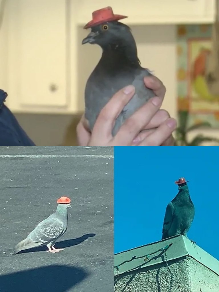  2019      -       . ...