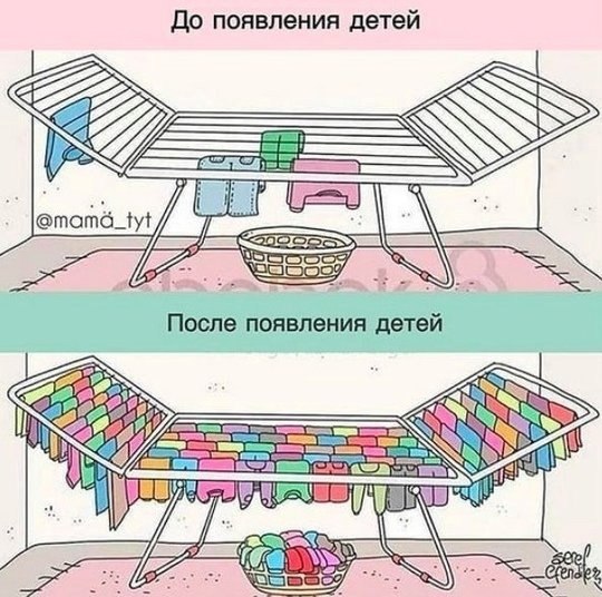    100%