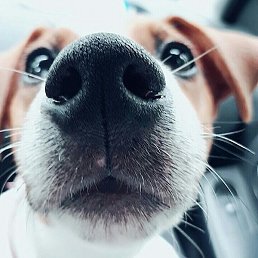 ����, �����, 44 ����