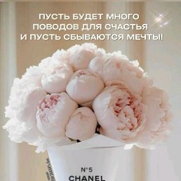 ���� ����, ���������, 53 ���� - ��������� 8 �������� 2026