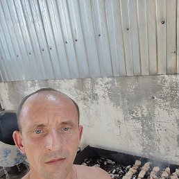 , 41, 