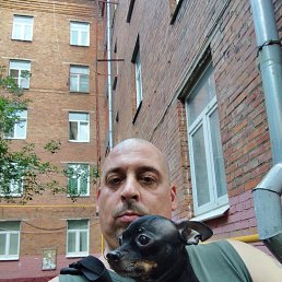 , 42, 