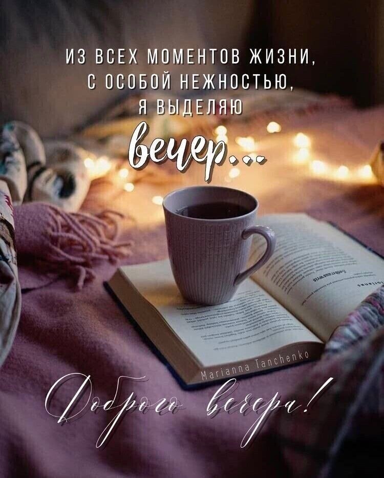   - 29  2025  16:52