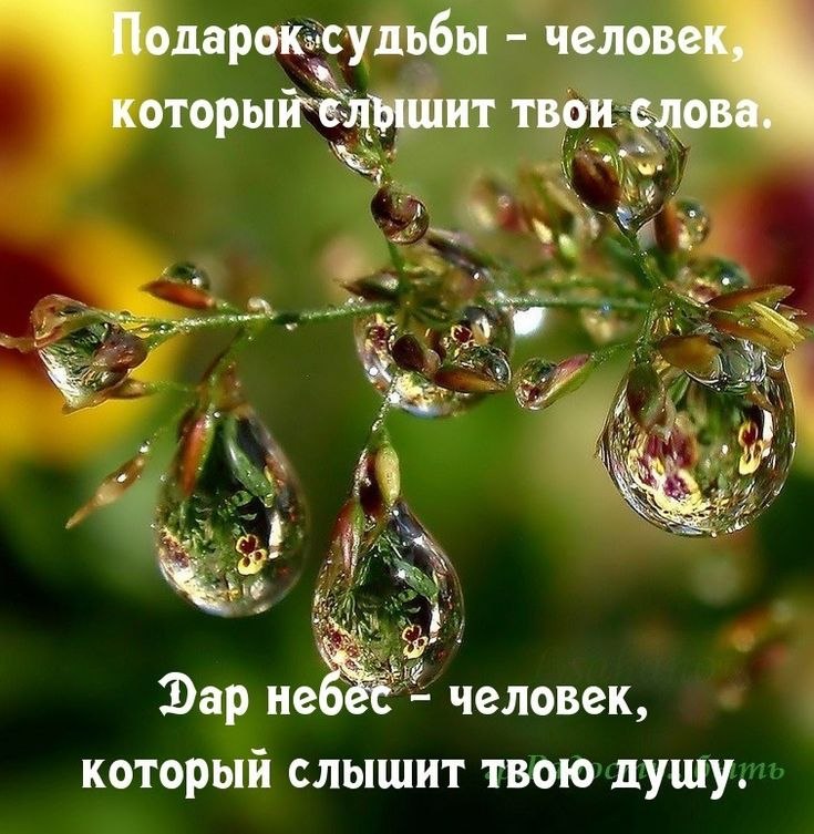   ! - 7  2025  14:14
