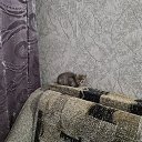 ���� ������, �����-���������, 48 ��� - ��������� 14 ������ 2024