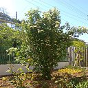 ���� ���������, ���������� - ��������� 14 ��� 2025 � ������ ���� ������