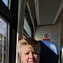 ���� ����, ���������, 54 ���� - ��������� 5 ���� 2025 � ������ ���� ����������