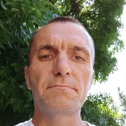 , , 44 