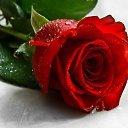 ���� ������, ���������, 43 ���� - ��������� 28 �������� 2025 � ������ ���� ����������