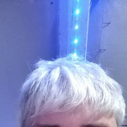 ������, 44 ����, �����������