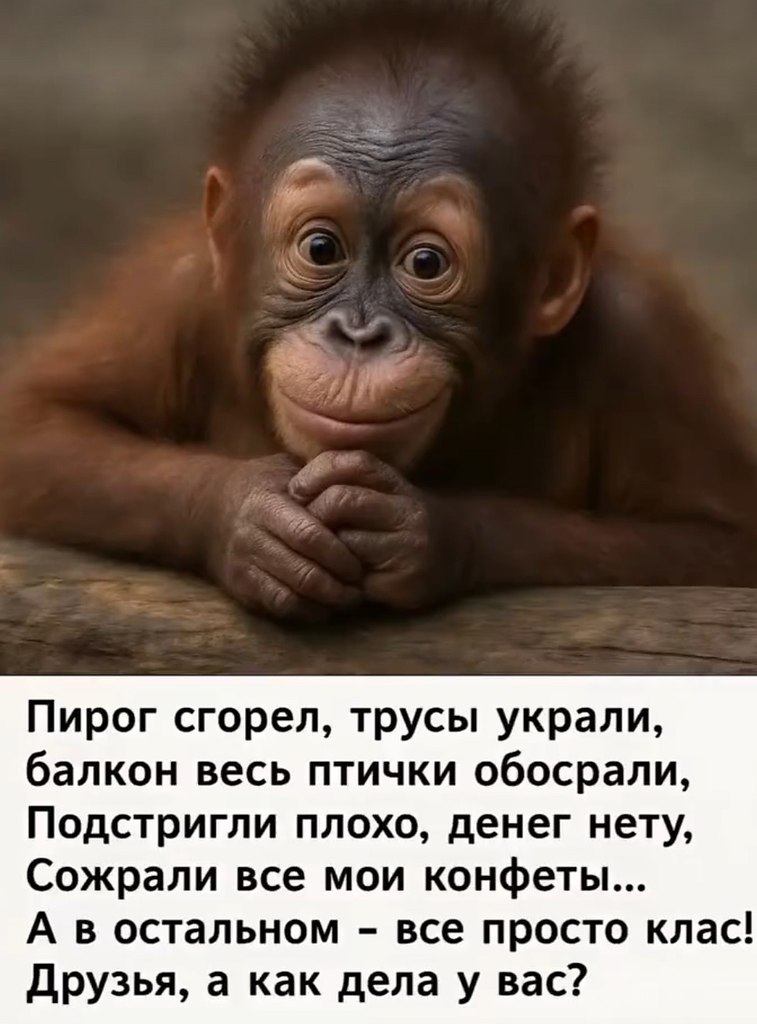  - 21  2025  12:03
