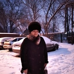 ���� ����, ���������, 66 ��� - ��������� 7 ������ 2026