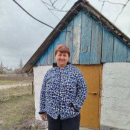 ���, 43 ����, ������