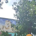 ���� ��������, ��������, 34 ���� - ��������� 21 ������ 2025 � ������ ���� ����������