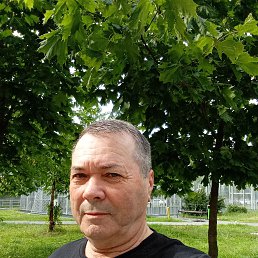 ��������, 64 ����, �����