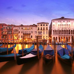 ����, ���������, 40 ���