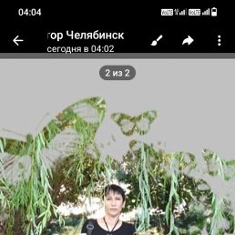 ���� �����, ������, 43 ���� - ��������� 21 ������� 2025