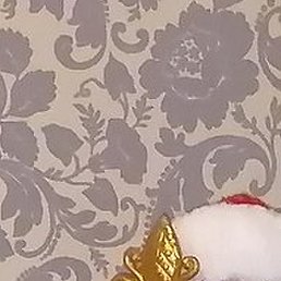 ������, ������, 37 ���