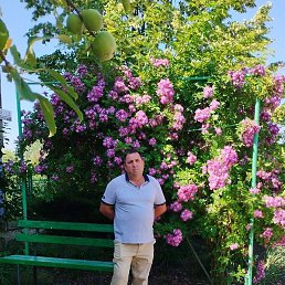 ������, ������, 50 ���