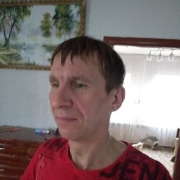 �������, 41 ���, ���