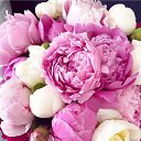 ���� �����, ���, 52 ���� - ��������� 29 ������ 2024 � ������ ���� ����������