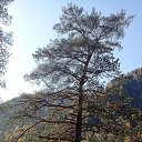 ���� ������, �����, 72 ���� - ��������� 5 ������� 2024 � ������ ���� ����������