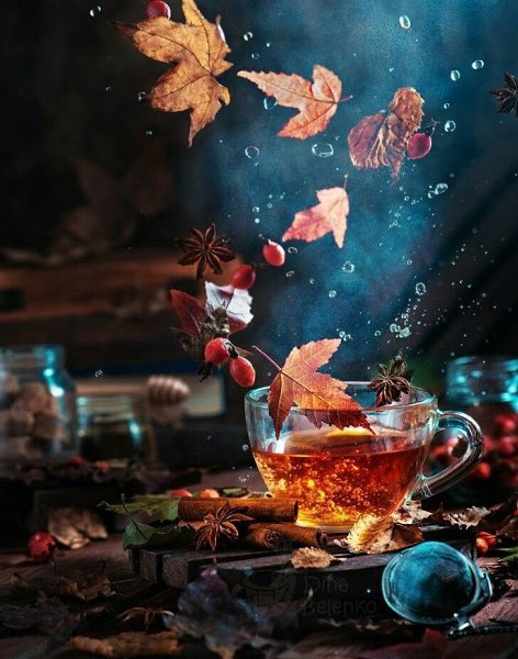  ,     .  ,  ,         ... - 2