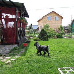 ��������, �����������