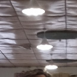 ���� ������, ������, 51 ��� - ��������� 14 ����� 2026