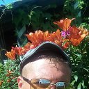 ���� ����, �����, 37 ��� - ��������� 12 ���� 2024 � ������ ���� ����������