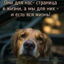 ���� Dog, ������, 67 ��� - ��������� 11 ������� 2025 � ������ ������ ��������