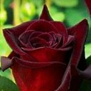 ���� Fahraddin Matqurbanov, ������, 54 ���� - ��������� 11 ������� 2024