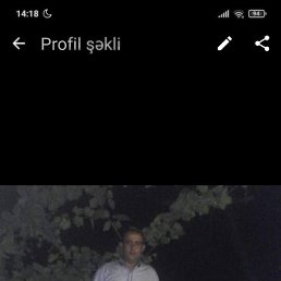, 42, 