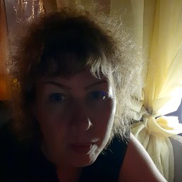 ����, , �������