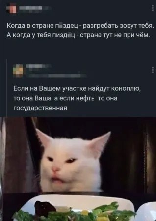  - 2  2024  21:59
