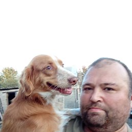 , 42, 