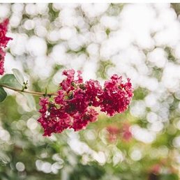 �����, ���������, 24 ����