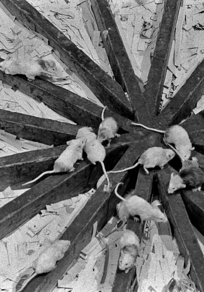 ,          .  1968   ... - 4