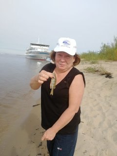 ���� ������, ������, 63 ���� - ��������� 12 ����� 2026