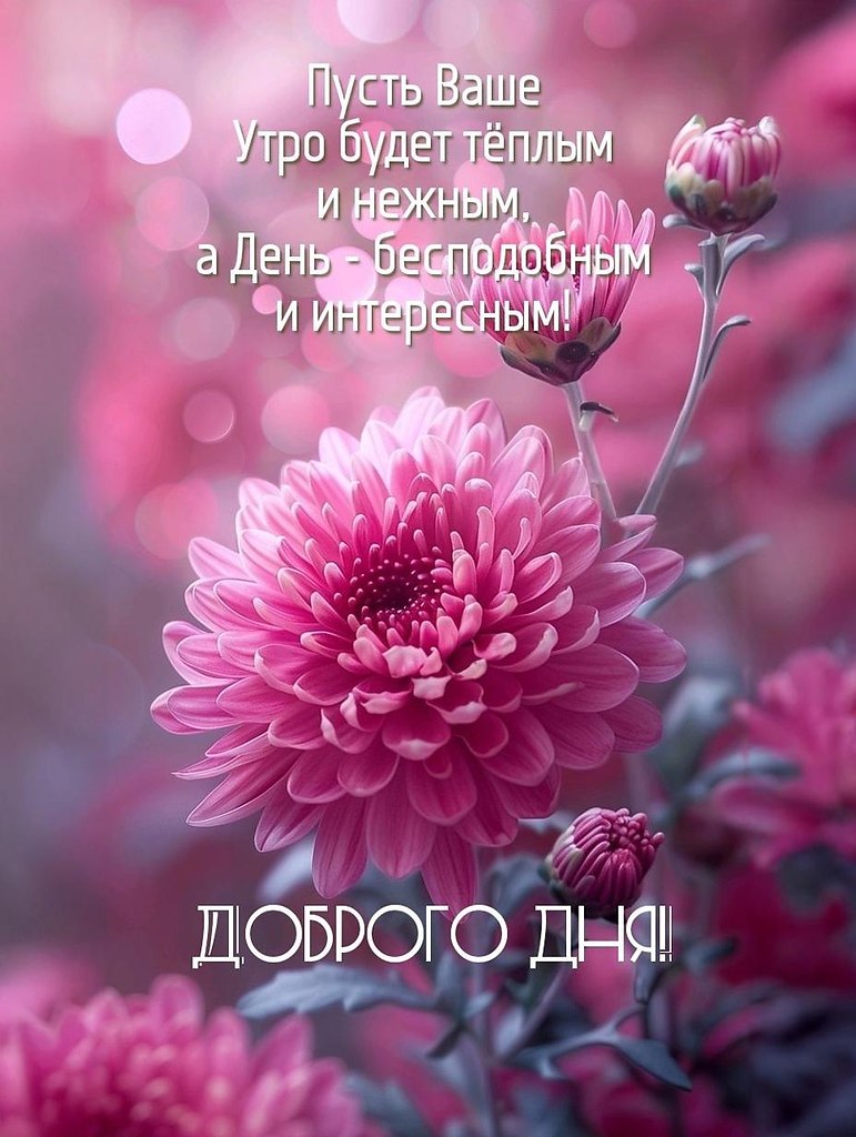   ,    . - 6  2025  07:38