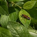 ���� ����� 🎗, ������ - ��������� 22 ������� 2026 � ������ ���� �����������