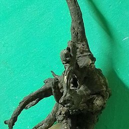 ����, ������, 48 ���