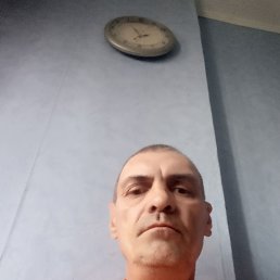 , 46, 