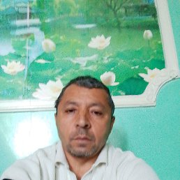 , 56, 