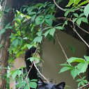 ���� ���������, �����-���������, 65 ��� - ��������� 3 ������ 2026 � ������ ���� ����������