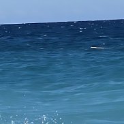 �����, 45 ���, ������