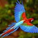 ���� ���������, ������, 48 ��� - ��������� 22 ������� 2025 � ������ ���� ����������