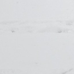 ������, ���, 48 ���