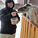 ���� ������, ������������, 40 ��� - ��������� 3 ������ 2024